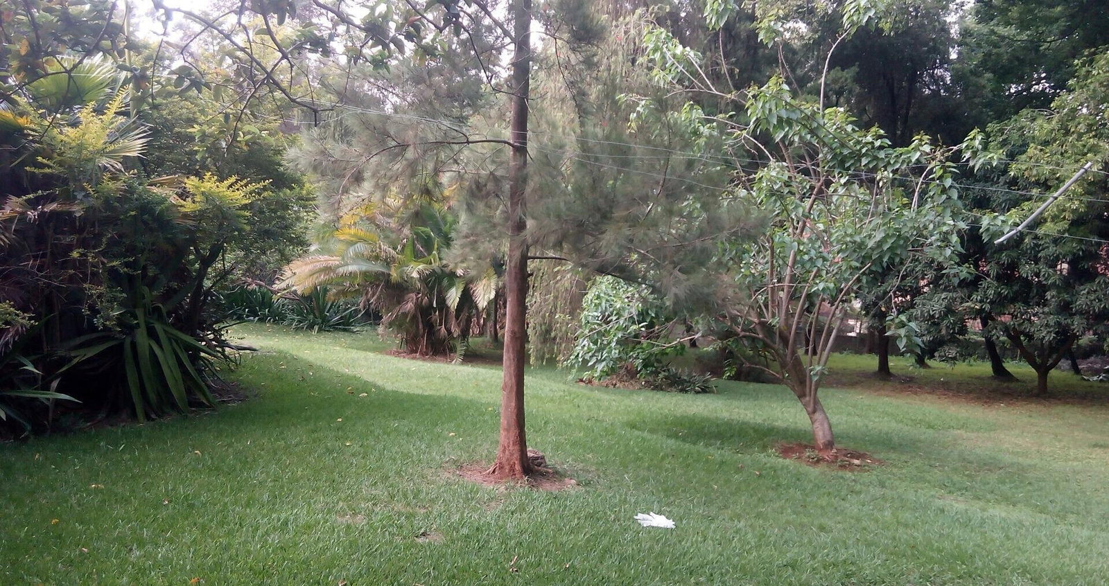 0.95-Acre Plot with Garden and Parking
