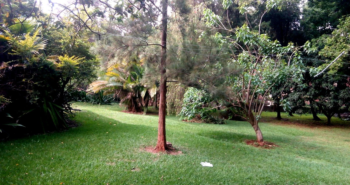 0.95-Acre Plot with Garden and Parking