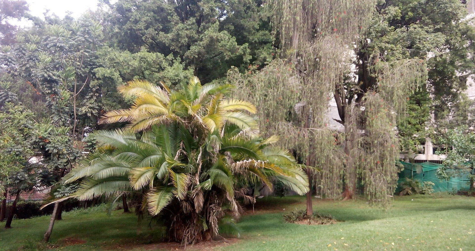 0.95-Acre Plot with Garden and Parking
