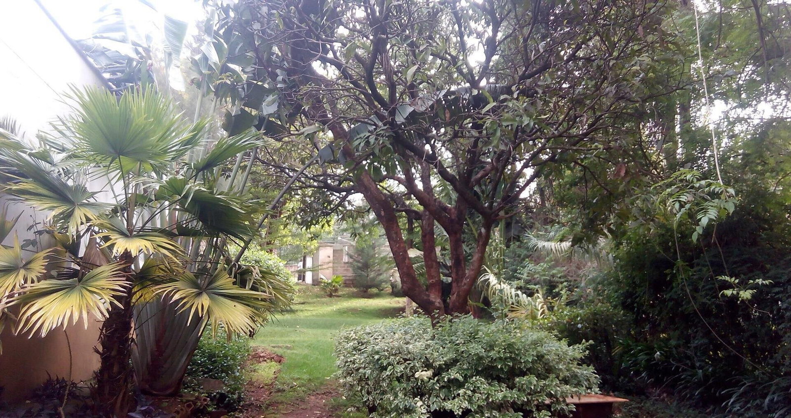 0.95-Acre Plot with Garden and Parking