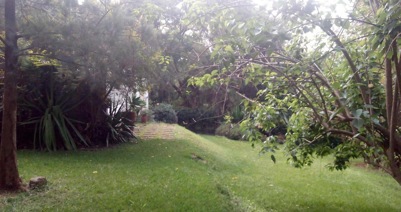 0.95-Acre Plot with Garden and Parking