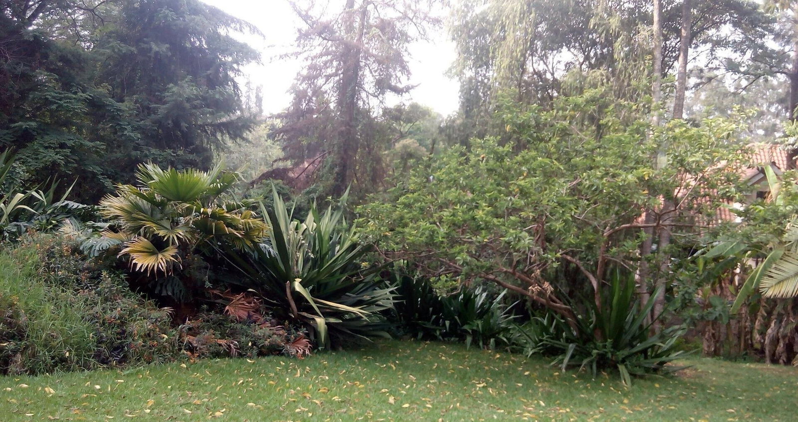 0.95-Acre Plot with Garden and Parking