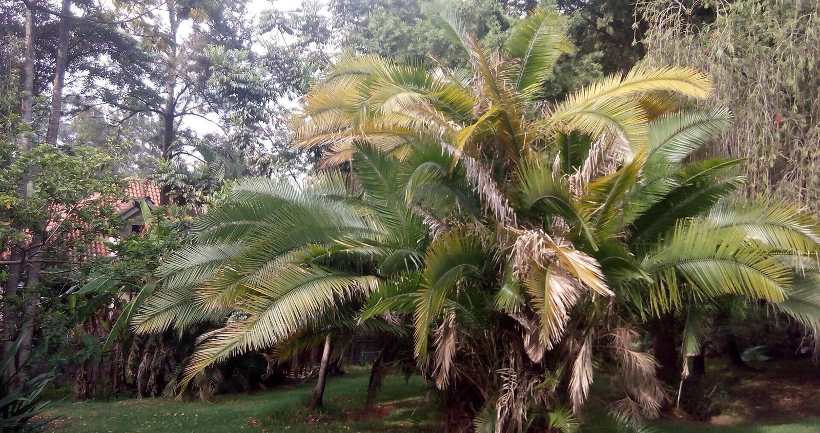 0.95-Acre Plot with Garden and Parking
