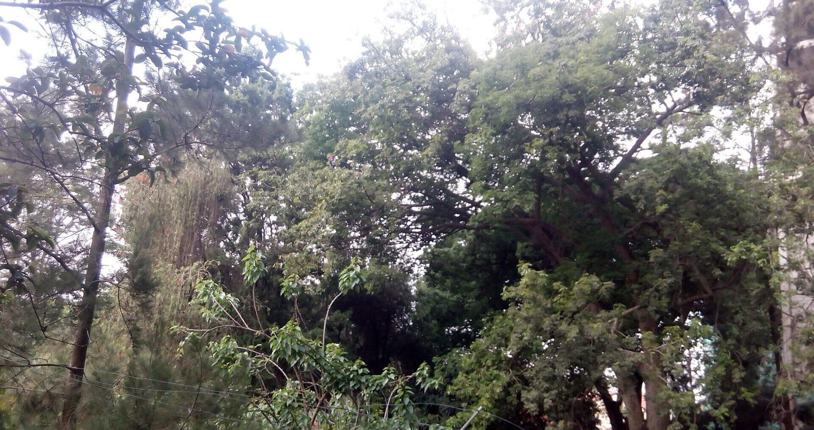 0.95-Acre Plot with Garden and Parking