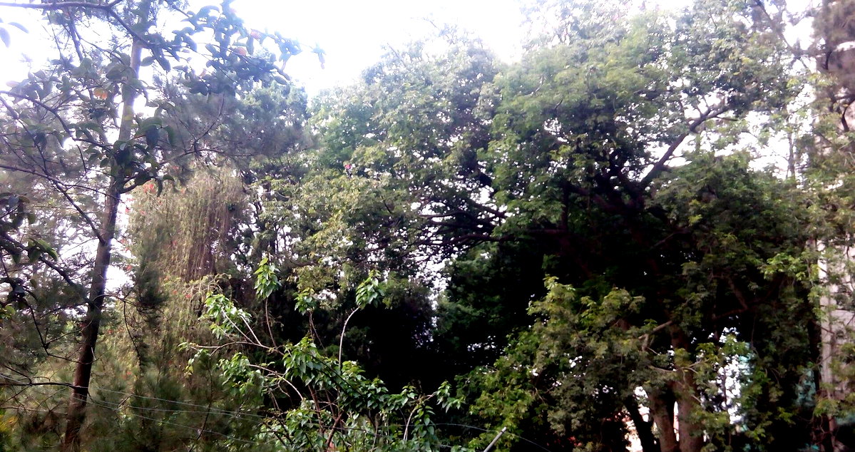 0.95-Acre Plot with Garden and Parking
