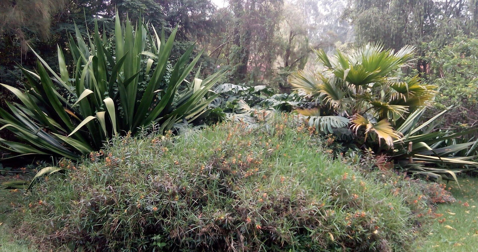0.95-Acre Plot with Garden and Parking