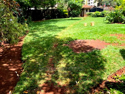 8bedroom Commercial Property to Let - Image 8