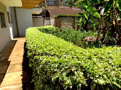 8bedroom Commercial Property to Let - Image 5