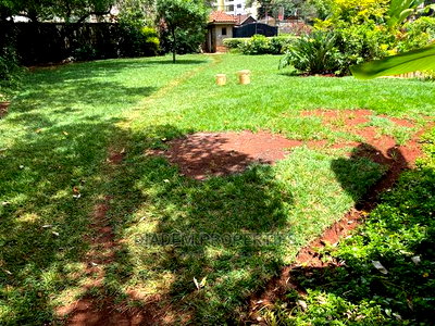 8bedroom Commercial Property to Let - Image 6