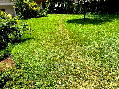 8bedroom Commercial Property to Let - Image 12