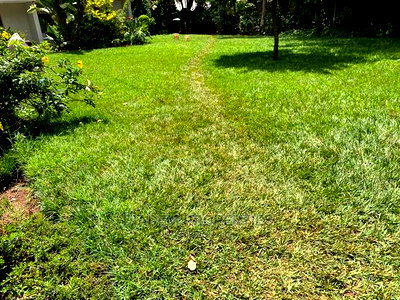 8bedroom Commercial Property to Let - Image 11