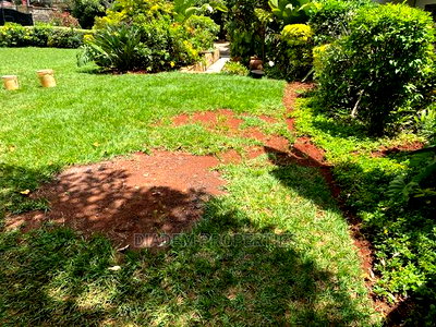 8bedroom Commercial Property to Let - Image 10