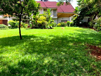 8bedroom Commercial Property to Let - Image 4