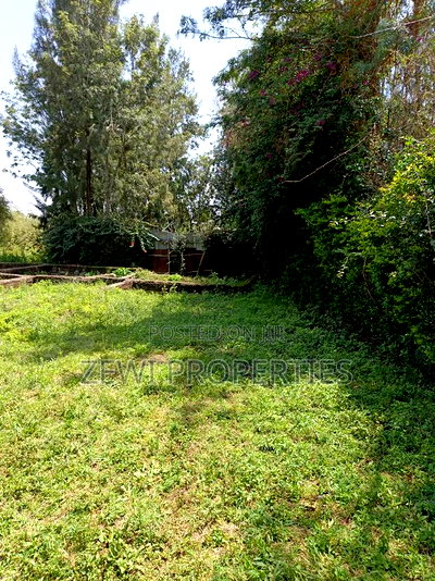 Quarter Acre Commercial Plot Ngong - Image 3