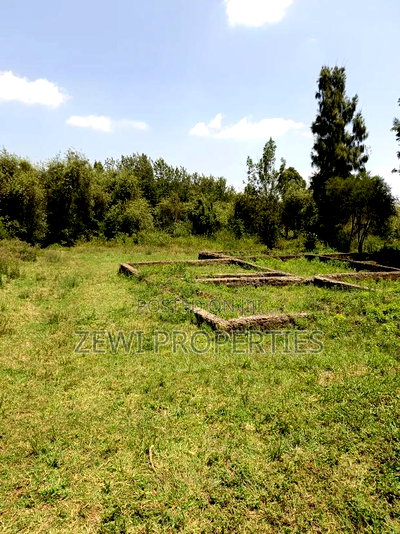 Quarter Acre Commercial Plot Ngong - Image 2