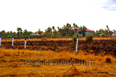Buy and Build Plots in Kamulu From - Image 2