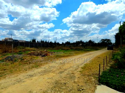 Prime 1/4 Acre Plot Sabaki 800 Metres Off Mombasa Road - Image 3