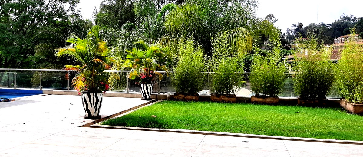 5-Ensuite Townhouse with Private Pool & UN Security Standards - Spring Valley