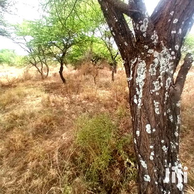 Prime 10 Acres Touching Tinga Najilei Road at 450k Per Acre - Image 5