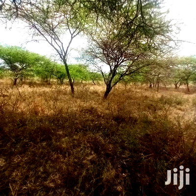 Prime 10 Acres Touching Tinga Najilei Road at 450k Per Acre - Image 6