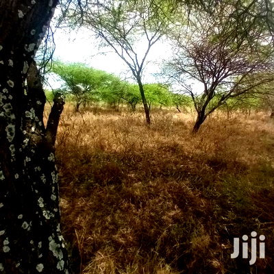 Prime 10 Acres Touching Tinga Najilei Road at 450k Per Acre - Image 7