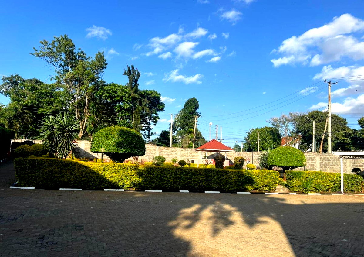 7BR Luxury Residence - Runda