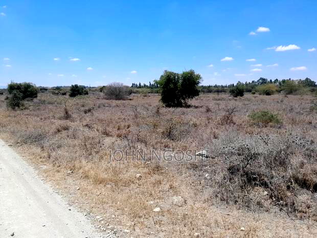 Kitebgela Kag 10 Acres Land