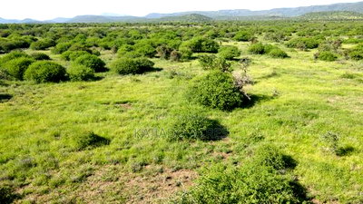 18 Acres Oloika at Per Acre - Image 3