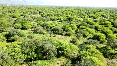 18 Acres Oloika at Per Acre - Image 11