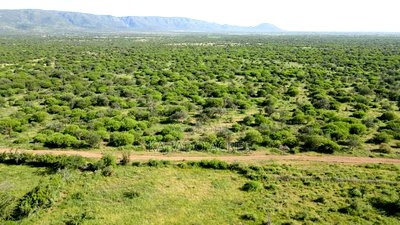 18 Acres Oloika at Per Acre - Image 6