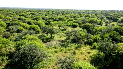 18 Acres Oloika at Per Acre - Image 10