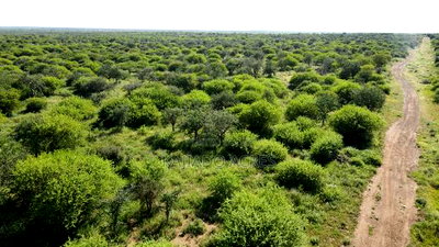 18 Acres Oloika at Per Acre - Image 1