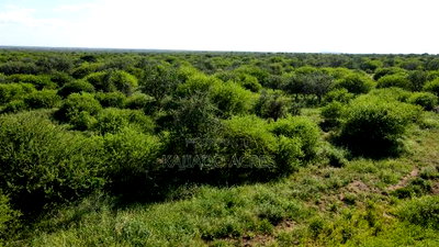 18 Acres Oloika at Per Acre - Image 5