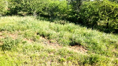 18 Acres Oloika at Per Acre - Image 4