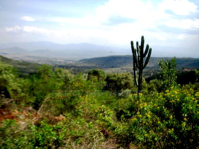 Kekopey Land Sale of 10 Acres - Image 4