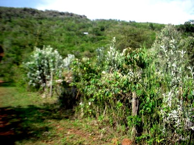 Kekopey Land Sale of 10 Acres - Image 3