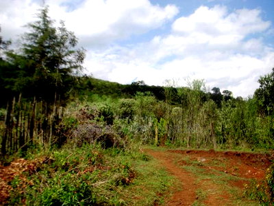 Kekopey Land Sale of 10 Acres - Image 2