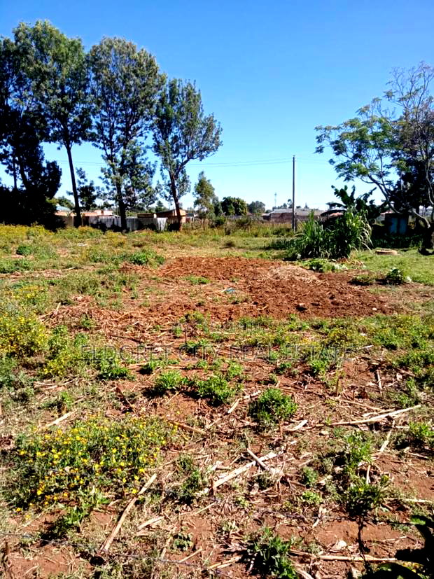 1/4 Plot Kimumu Betterfarm With Title