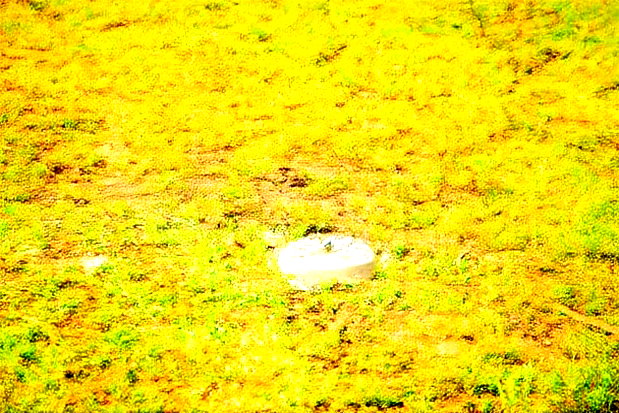 Residential Plots in Kisumu