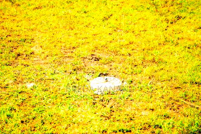 Residential Plots in Kisumu - Image 1