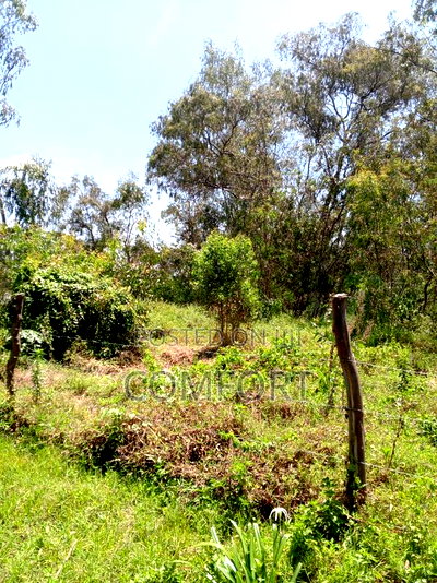 Half Acre for Sale in Karen Gated Community. - Image 7