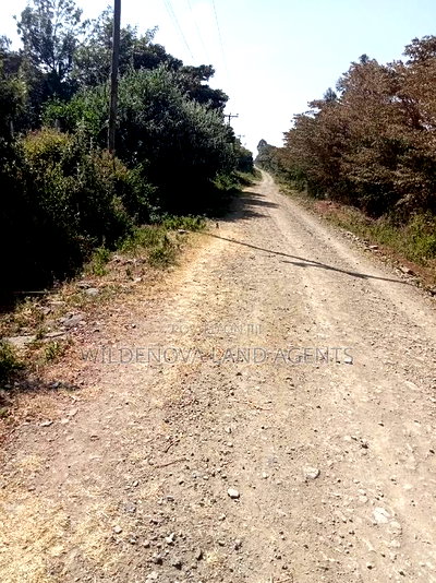 3 Acres of Land on Sale - Image 4