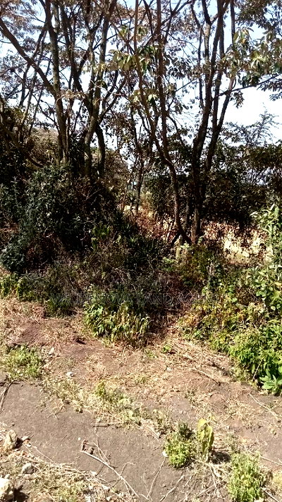 3 Acres of Land on Sale - Image 2