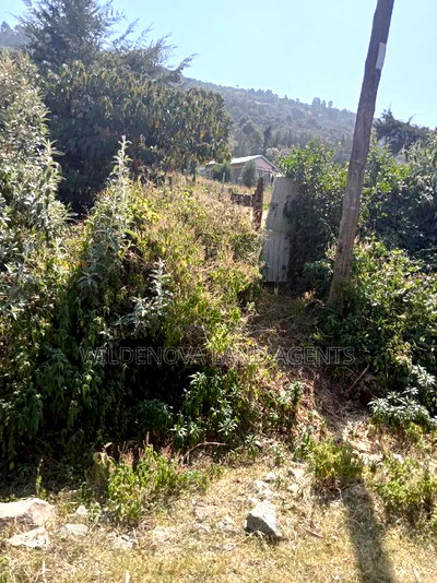 3 Acres of Land on Sale - Image 3