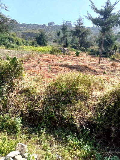 3 Acres of Land on Sale - Image 6