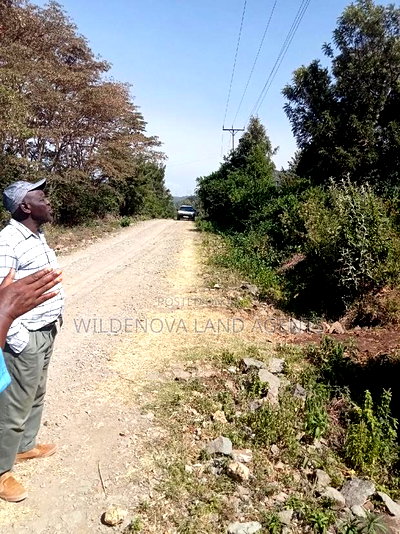 3 Acres of Land on Sale - Image 5