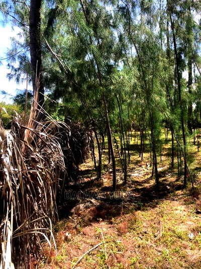 1 Acre Prime Land - Image 3