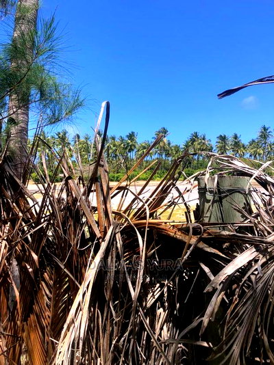 1 Acre Prime Land - Image 4