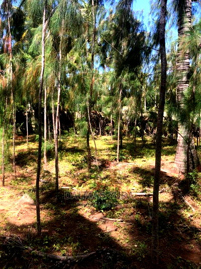 1 Acre Prime Land - Image 1