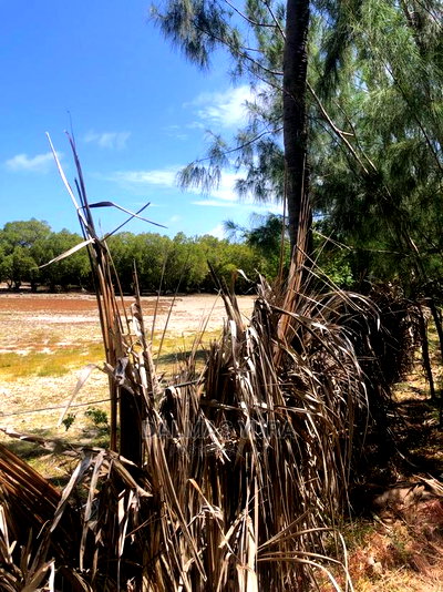 1 Acre Prime Land - Image 2